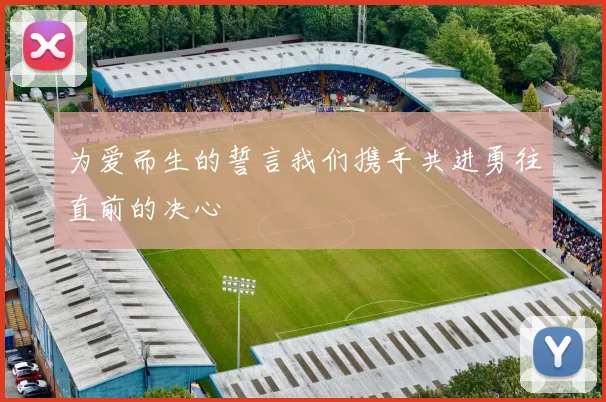 为爱而生的誓言我们携手共进勇往直前的决心