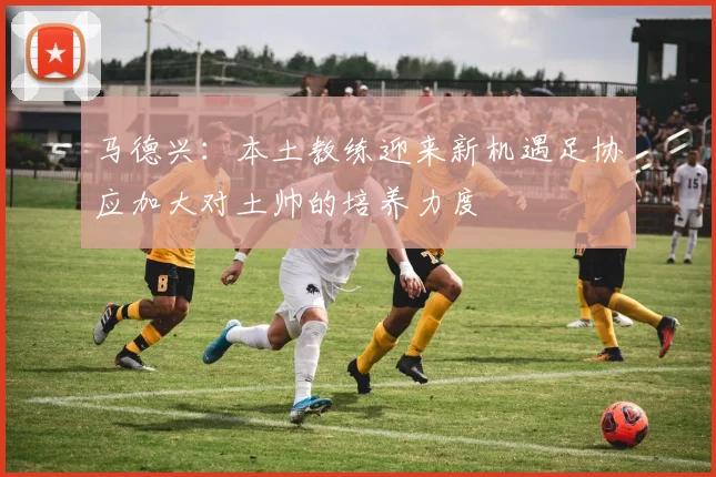 马德兴：本土教练迎来新机遇足协应加大对土帅的培养力度