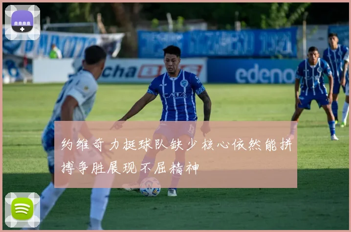 约维奇力挺球队缺少核心依然能拼搏争胜展现不屈精神