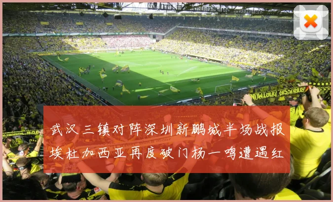 武汉三镇对阵深圳新鹏城半场战报埃杜加西亚再度破门杨一鸣遭遇红牌处罚