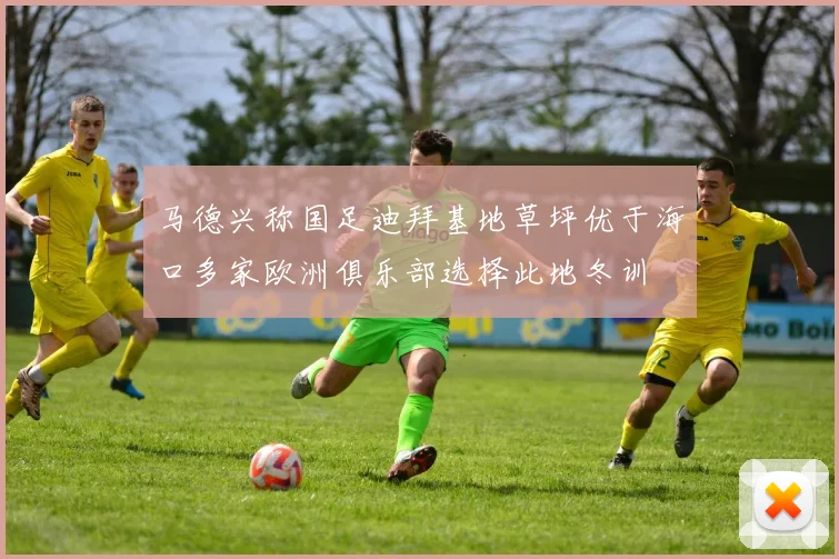 马德兴称国足迪拜基地草坪优于海口多家欧洲俱乐部选择此地冬训