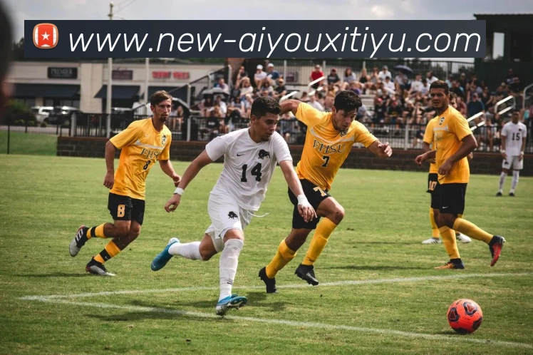 爱游戏体育服务体系